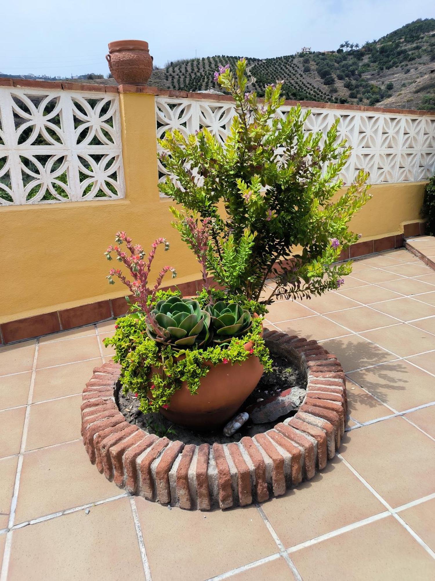 Cortijo Maria Gomez Villa Malaga Ngoại thất bức ảnh