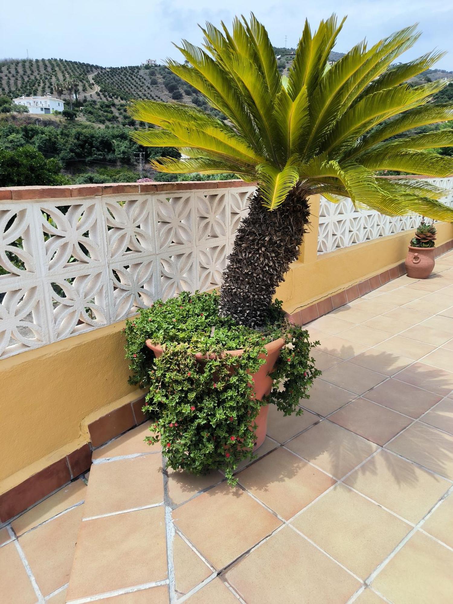 Cortijo Maria Gomez Villa Malaga Ngoại thất bức ảnh